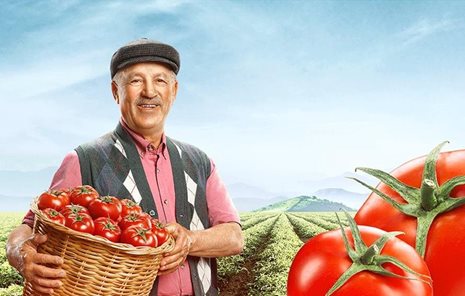 Tat'ın 50 yıldır bitmeyen domates tutkusunu çiftçiler anlatıyor.