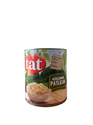 KOZLENMIS PATLICAN 2800 G TENEKE TAT